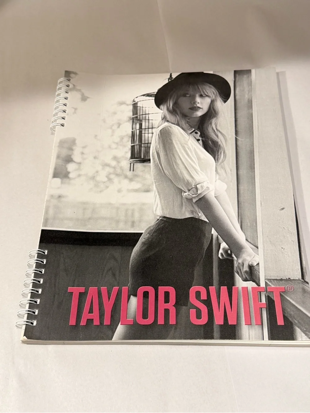 Taylor Swift notebook cover
